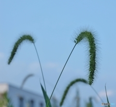 精一杯の笑顔