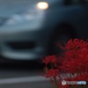 往来の刹那