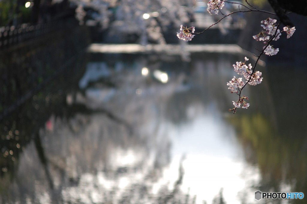 煌めいて春