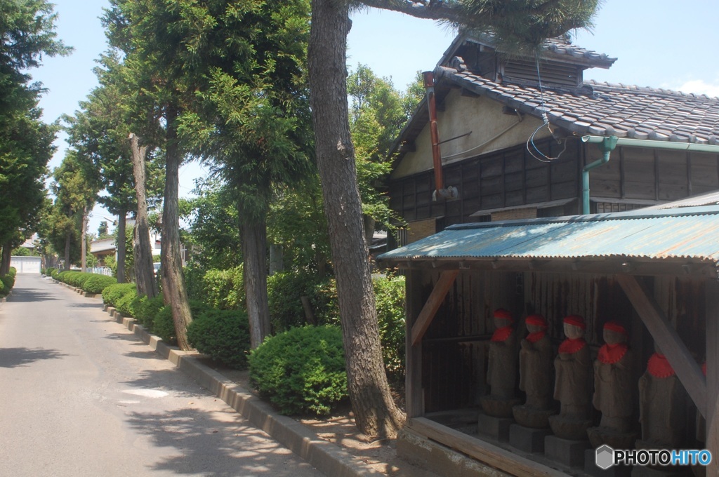 見守っていただきありがとうございます