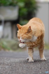 夢中