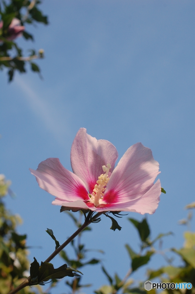 暑い夏の思い出