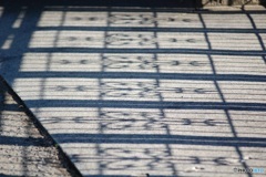 影の絨毯