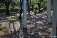 黄昏るひと時