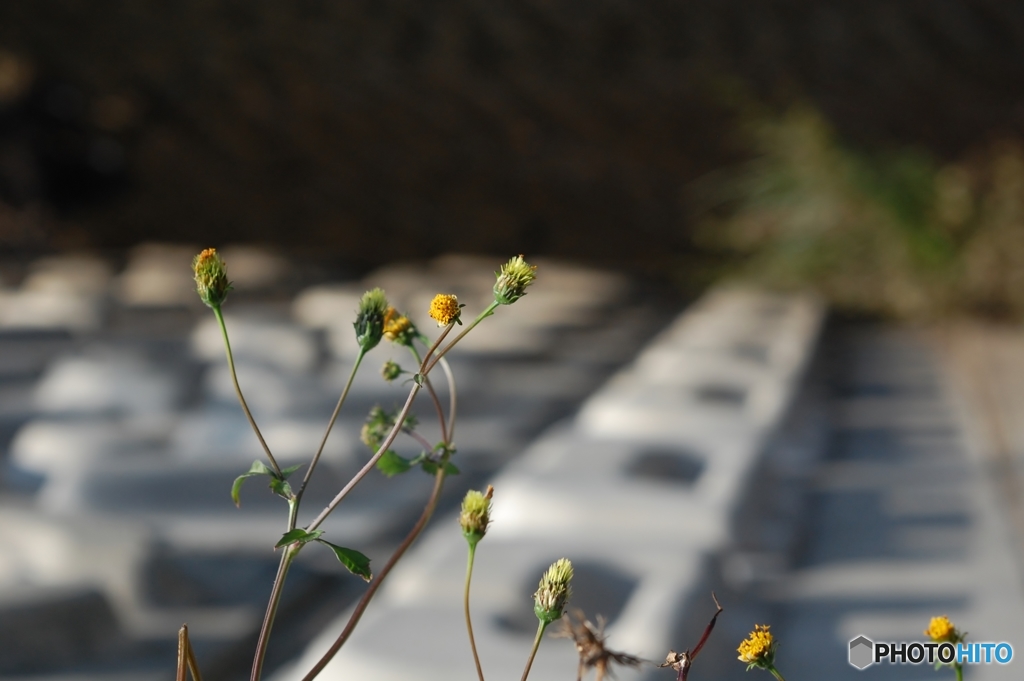平穏