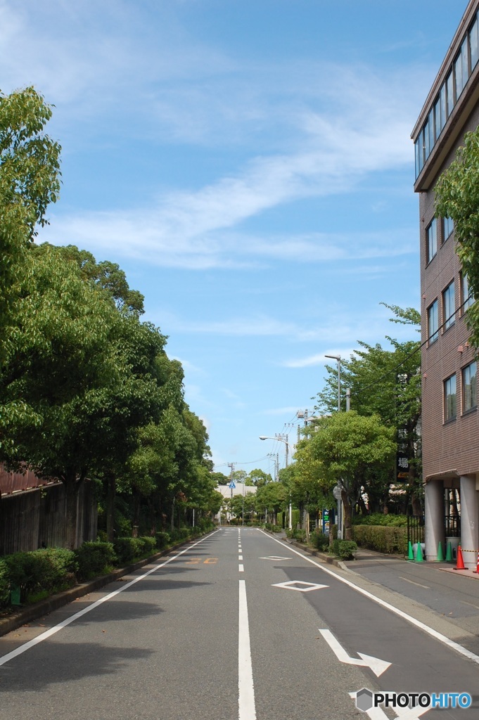 心のアビーロード