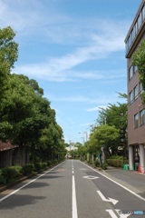 心のアビーロード