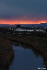燃える頃