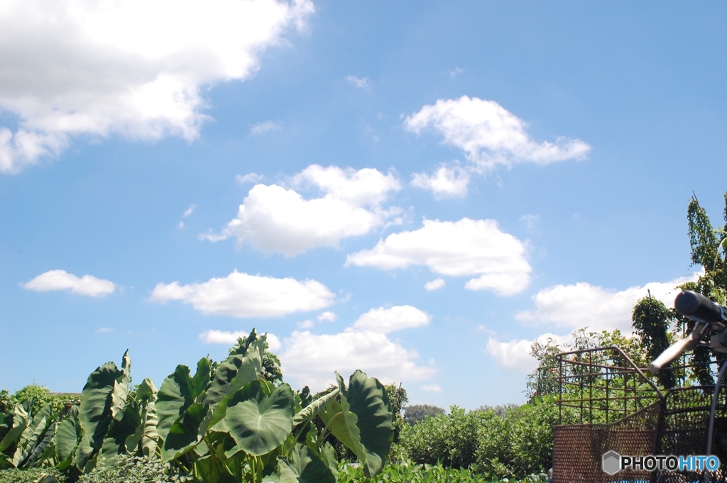 恵みの空と出会う