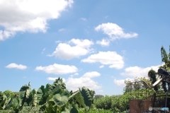 恵みの空と出会う