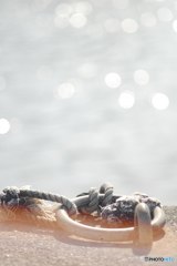 ハイキーな季節