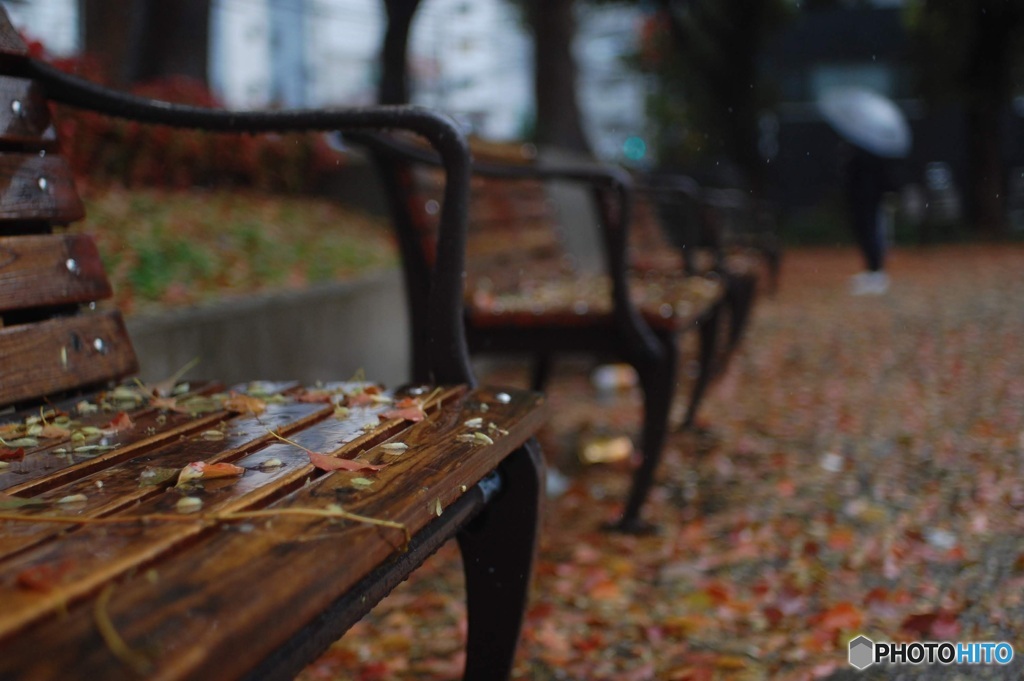 雨の待ち人