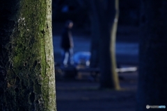 公園散歩