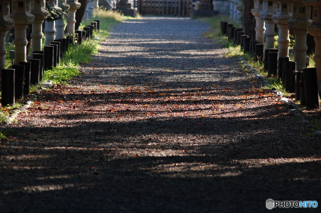 紅の落ち葉
