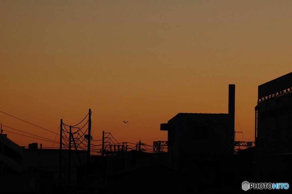 未来への夕暮れ