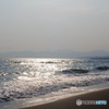 初めての海