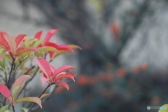 何気ない表情