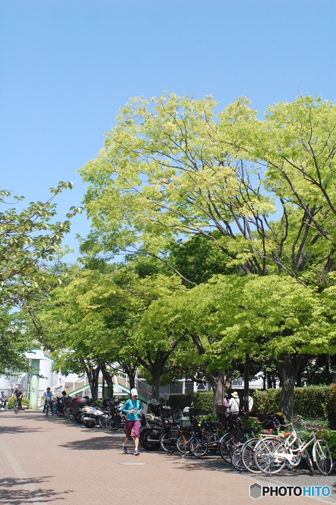 駆け抜けて行く季節