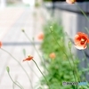 夏の陽気のご挨拶