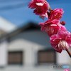 寄り添う街角