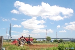 夏を耕して