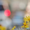 出会いの朝