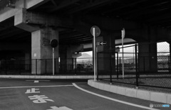 回廊の頂き