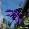 思惑無き主張