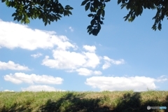 夏のパノラマ