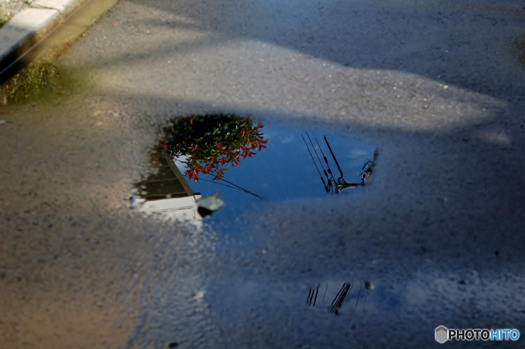 雨上がりの日常