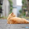 余裕