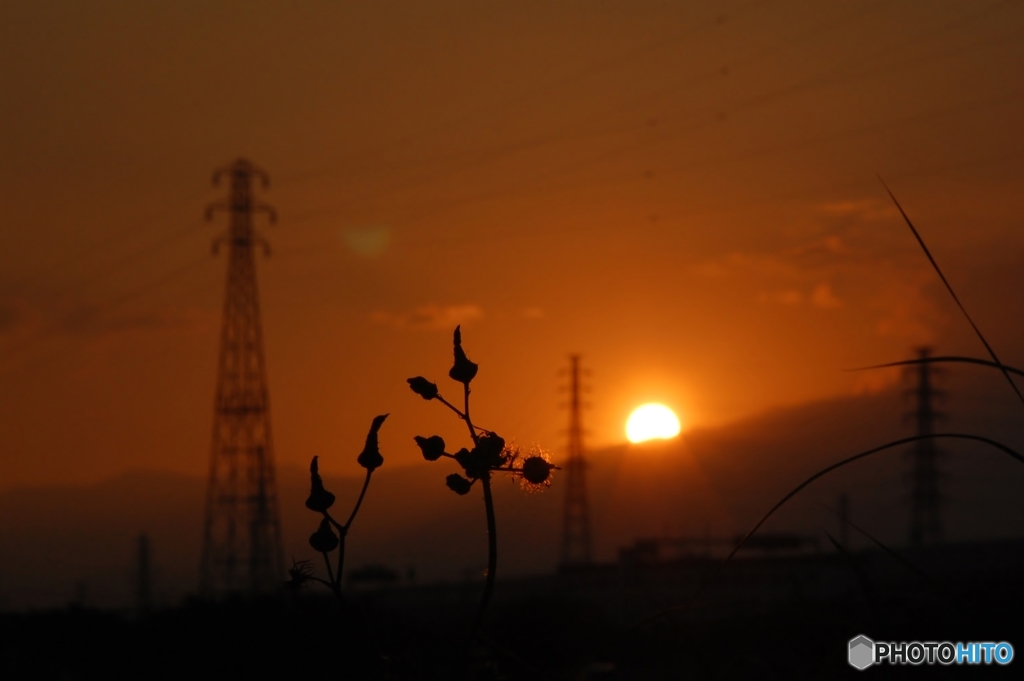 引き立つ夕暮れ