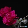 暗闇の天使