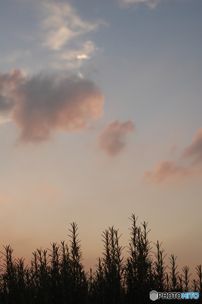 あと少しの空