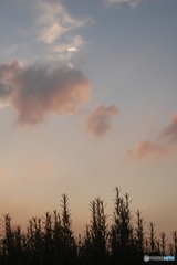 あと少しの空