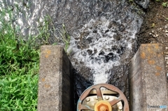 人知れず煌めく水面