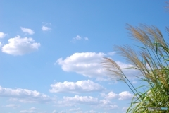 夏の空は駆け足で過ぎていく