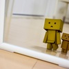 Danboard In the mirror