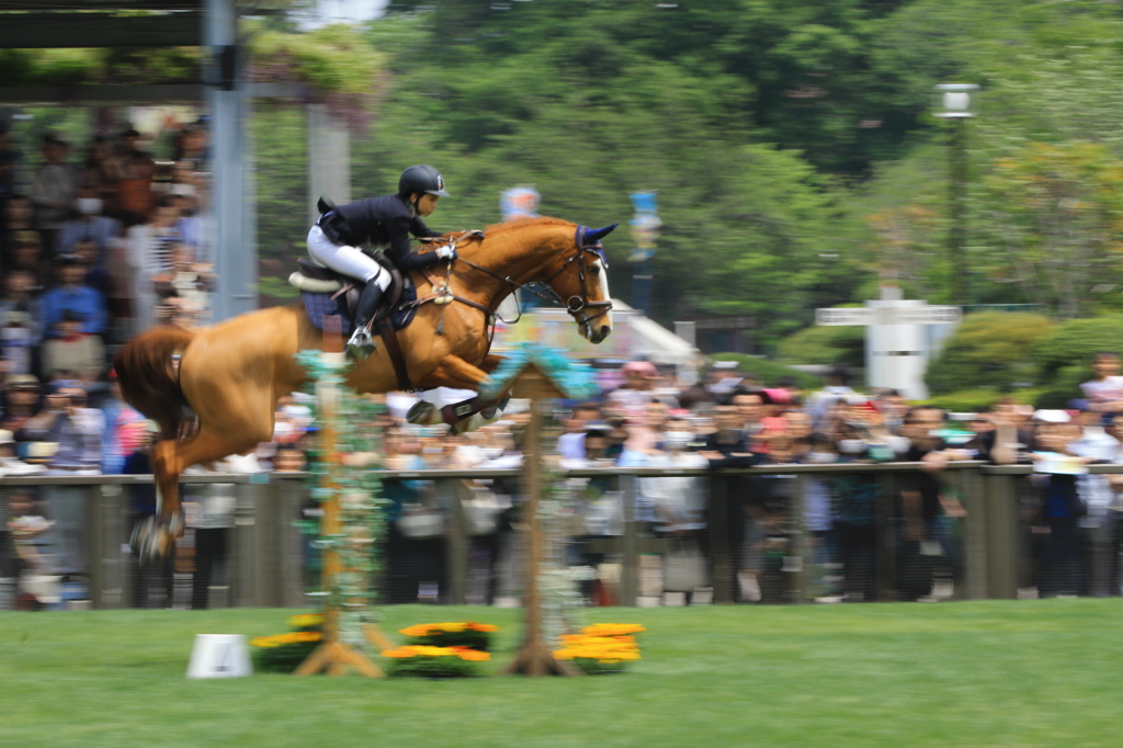 20160503JRAホ馬事公苑馬術大会05031104_34