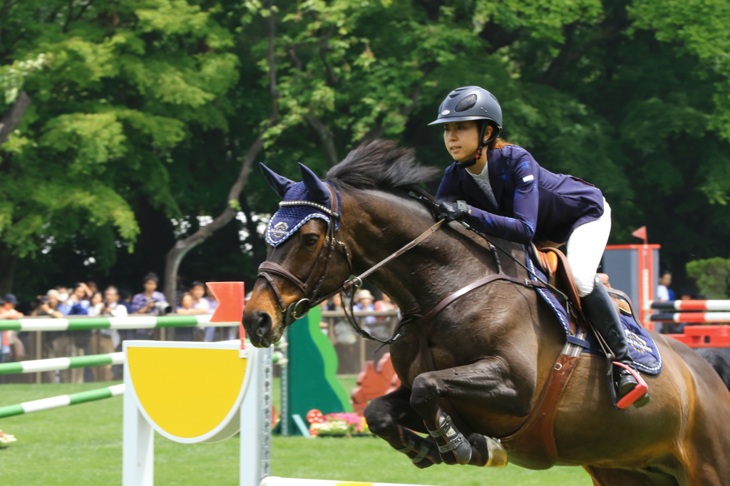 20160503JRAホ馬事公苑馬術大会05031151_02