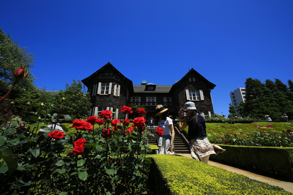 20160504都立庭園めぐり_旧古河庭園_Carl Zeiss Distago