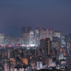 新宿伏魔殿