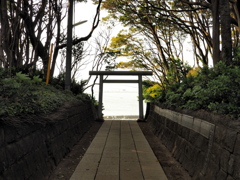 海を望む鳥居