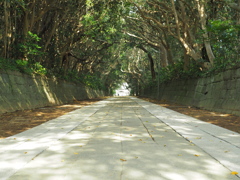 参道