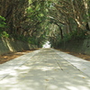 参道