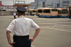 バス運転手の背中