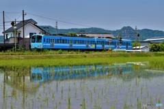 ガチャコン５月の風景