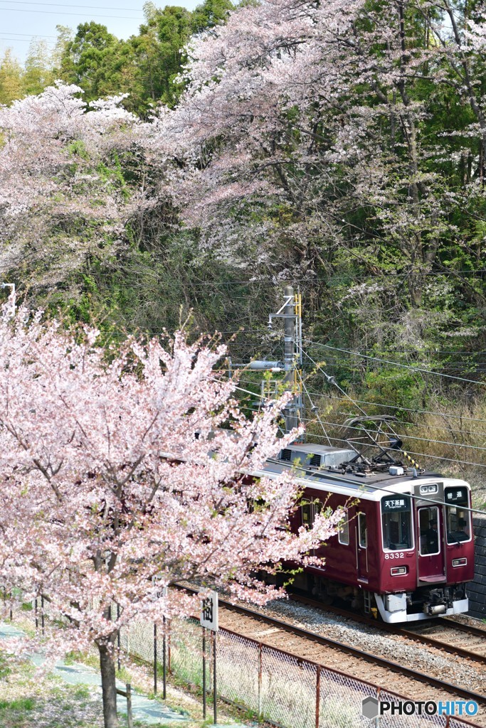 春の阪急電車