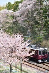 春の阪急電車