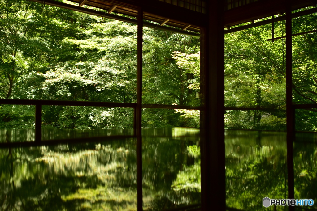 瑠璃の庭